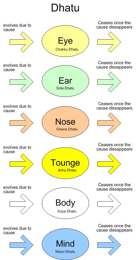 Buddha's Dhatu  explanation  image-3-Dhatu- Inner sense organ Dhatu
